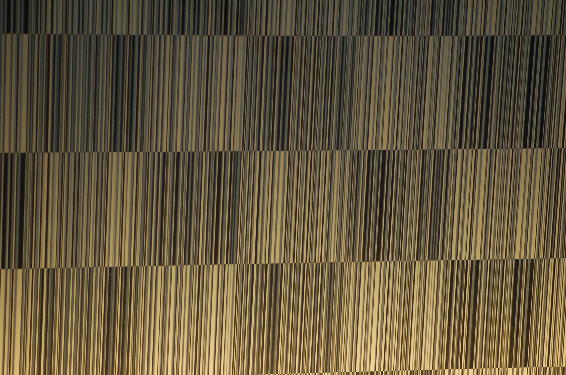 DSC_0635